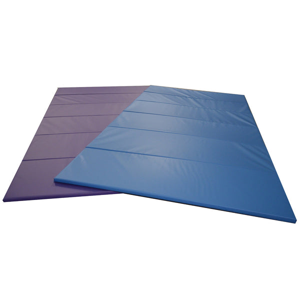 Carolina Gym Supply Panel Mats Purple and Blue