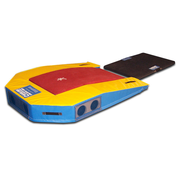 Carolina Gym Supply Vault Safety Zone with ROE Mat